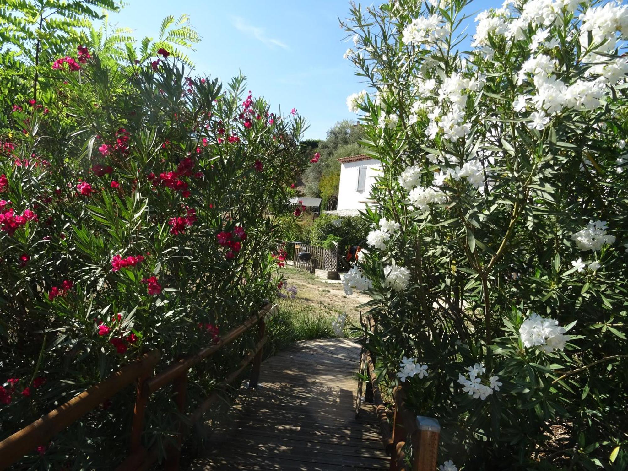 Les Ecrins D'Aix-En-Provence Vila Exterior foto